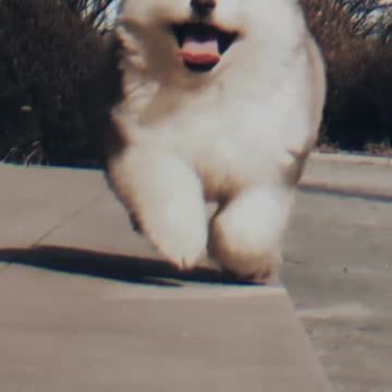 Hilarious Prank on a Silly Friend