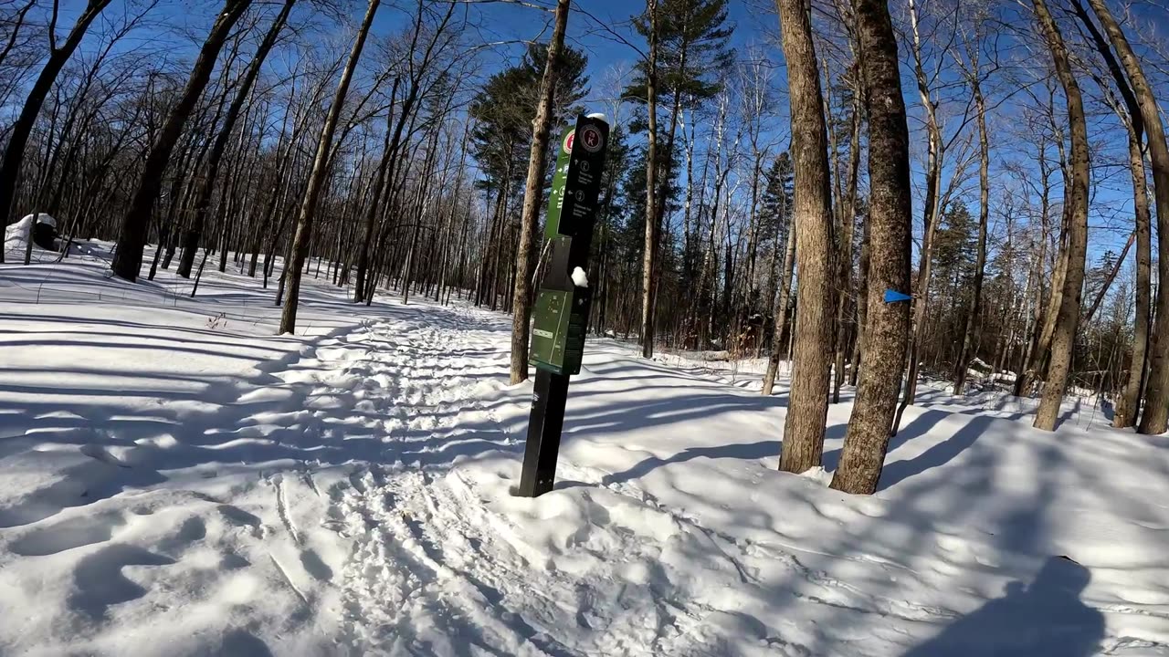 ❄️2025☃️02-28🎿 Winter -22 Edition Hiking Beaver Trails Part 2 In Ottawa 🦫 Ontario🍁Canada 🦧