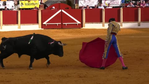 T15E03 | Tendido Diez | 19-02-2025