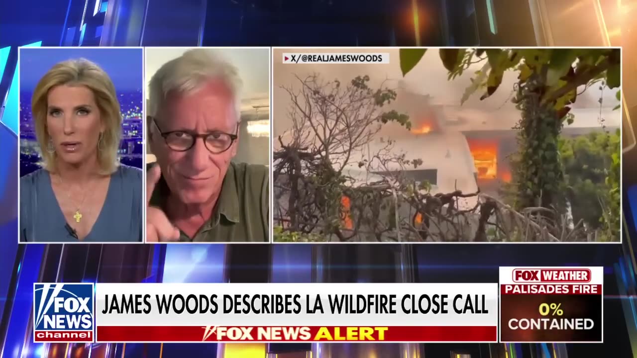 James Woods rips 'blithering idiot' Newsom after losing home in wildfire