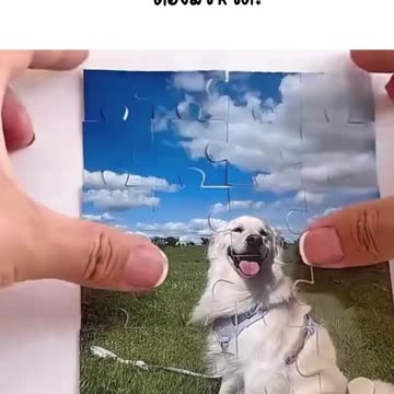 หม้อหุงข้าว 3 in 1 🍚🔥 หม้อเดียวครบ หุง ต้ม นึ่ง สะดวกสุด!