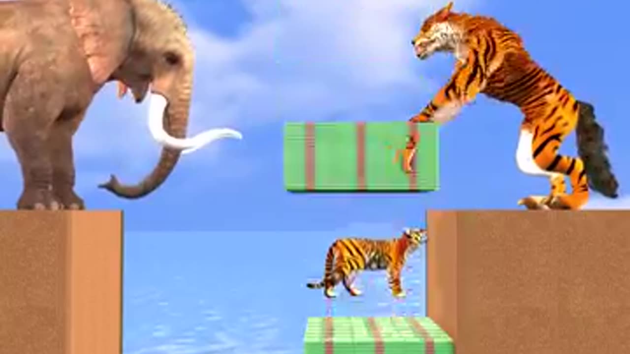 Choose Knowledge vs Money? With Elephant vs Tiger Wolf What To