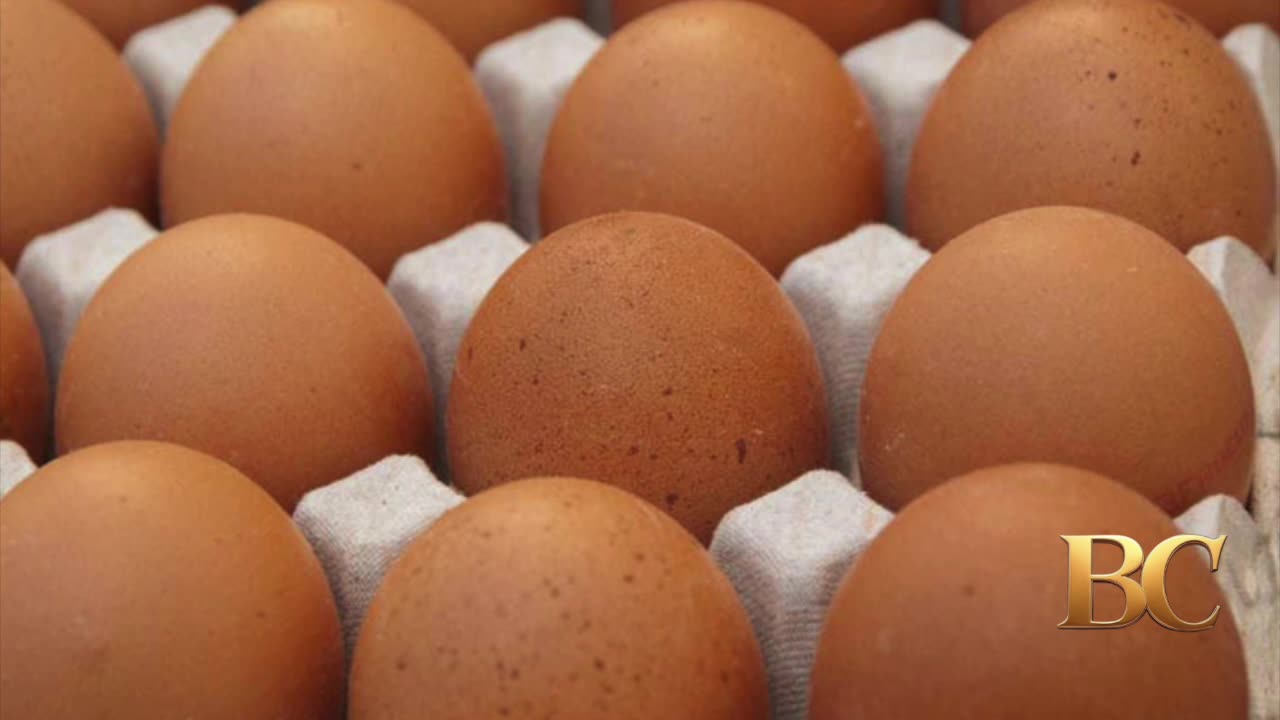 Egg prices soar as bird flu outbreak worsens