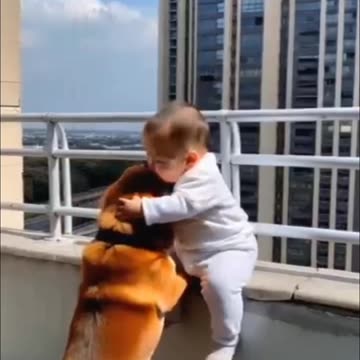 "Family's Guardian Angel Dog 🙀