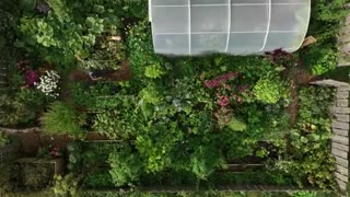 PERMACULTURE Explained in 6 Minutes