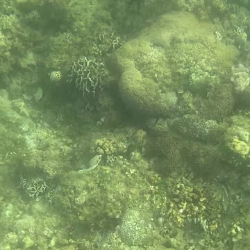 Snorkeling Morning!!