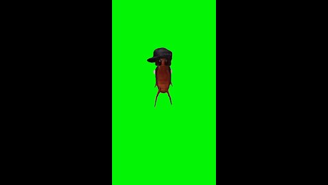 Hit It to the Beat Roach Dancing | Green Screen