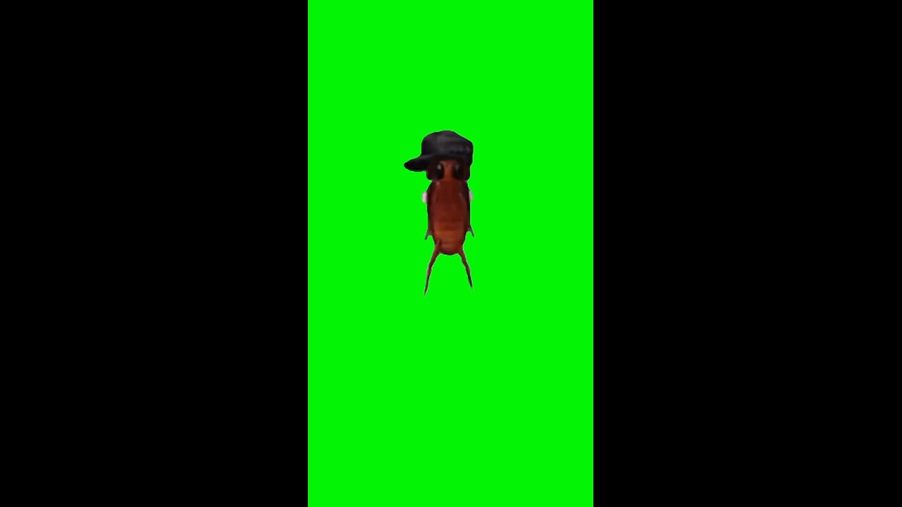 Hit It to the Beat Roach Dancing | Green Screen