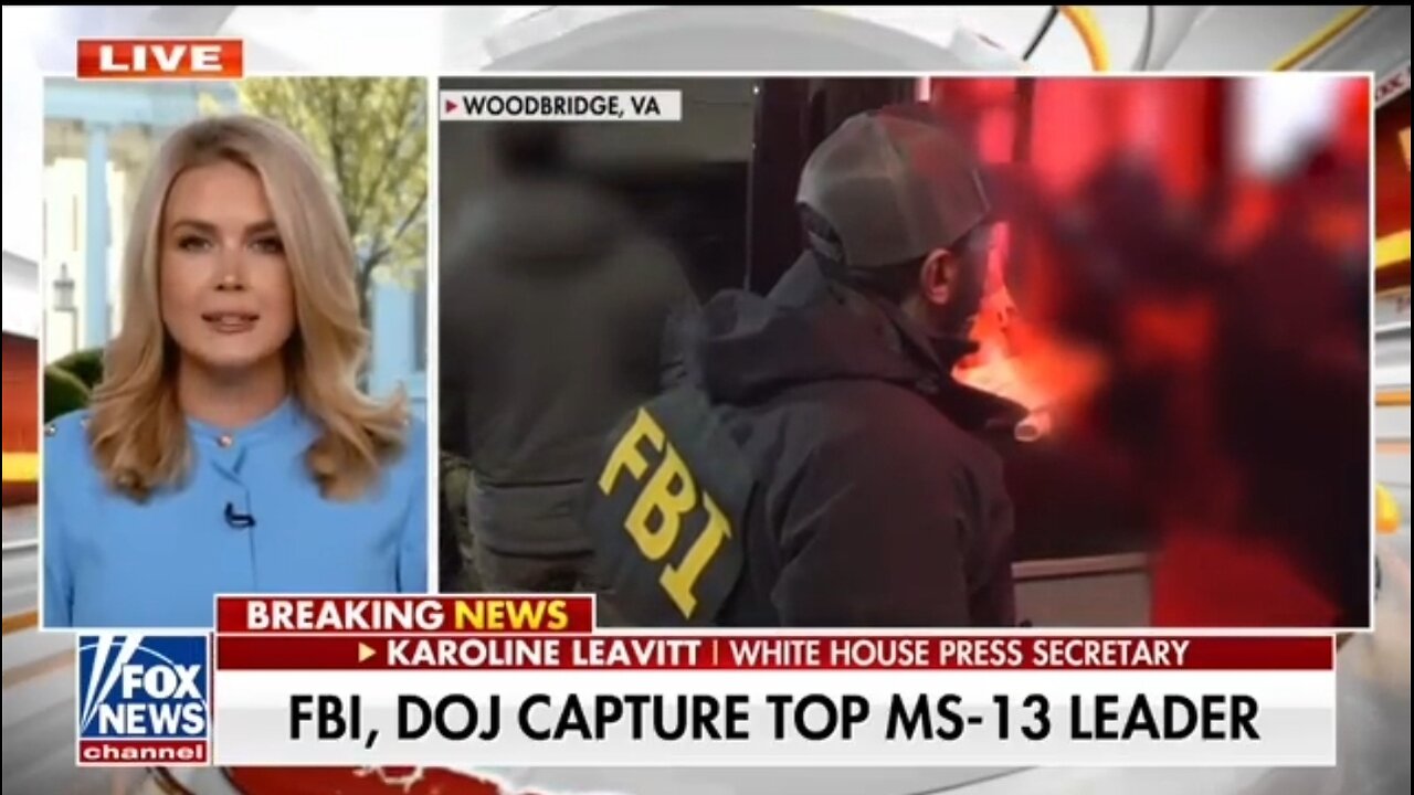 Karoline Leavitt: MS-13 Arrest Happens With Competent Leadership