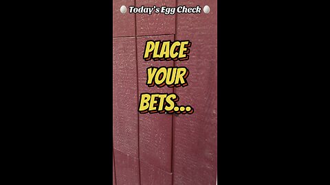 🥚 Today’s Egg Check! 🥚