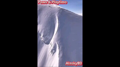 PROFESSIONAL SNOW SKIER DOWN A BIG MOUNTAIN, AMAZING!