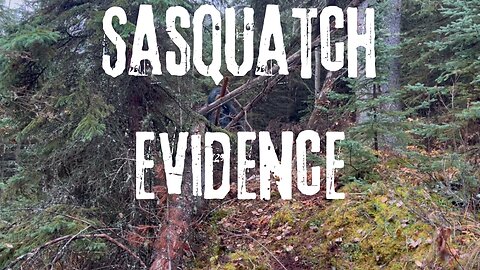 Sasquatch Evidence