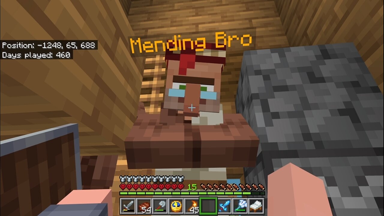 Rare Double Mending Villiager In Minecraft Hardcore [XsX]