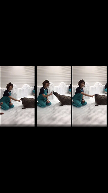 Vad är detta för trolldom? Är det en säl eller snigel?!?