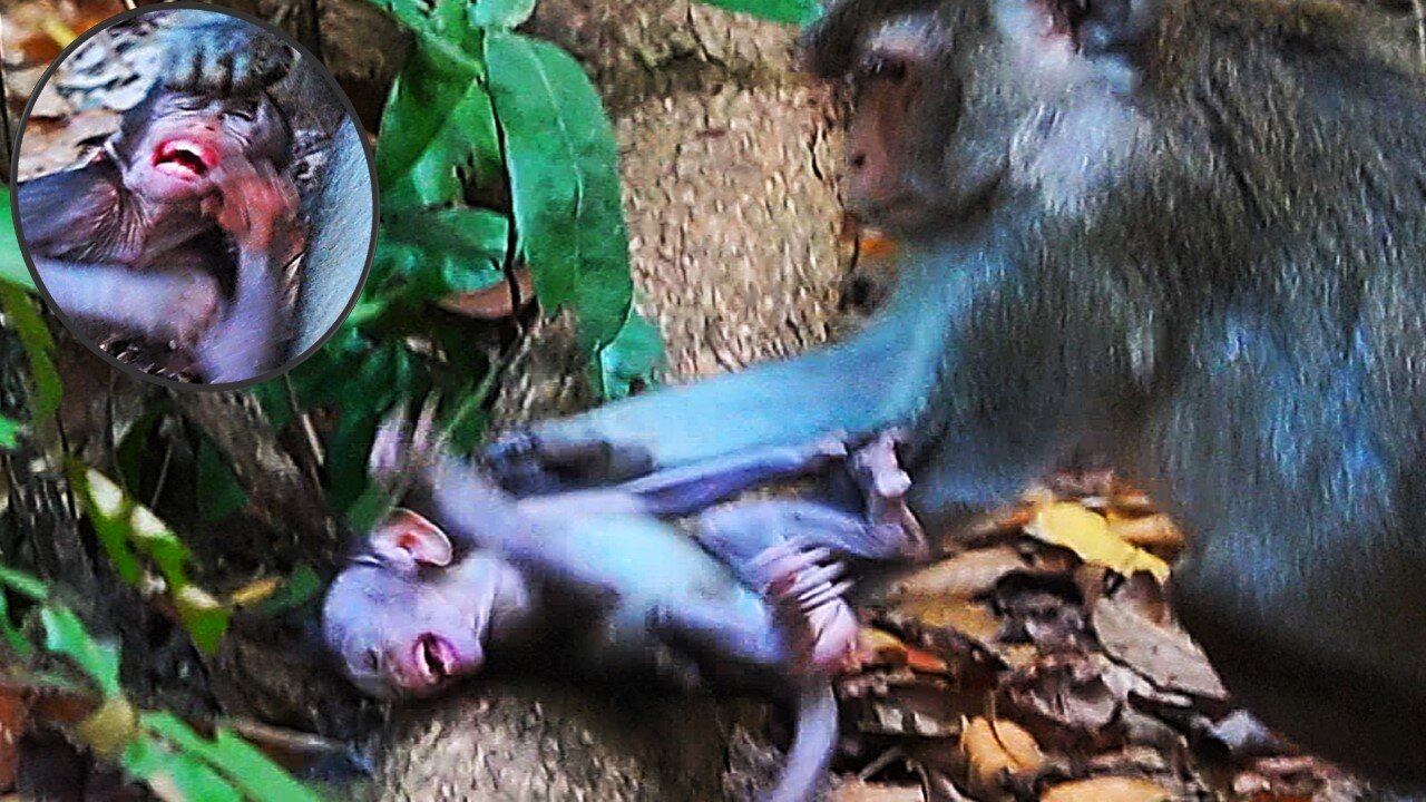 Really Hard Warning For BABY AMELIA Today, Mom ANNA Did The Thing Wrong Again