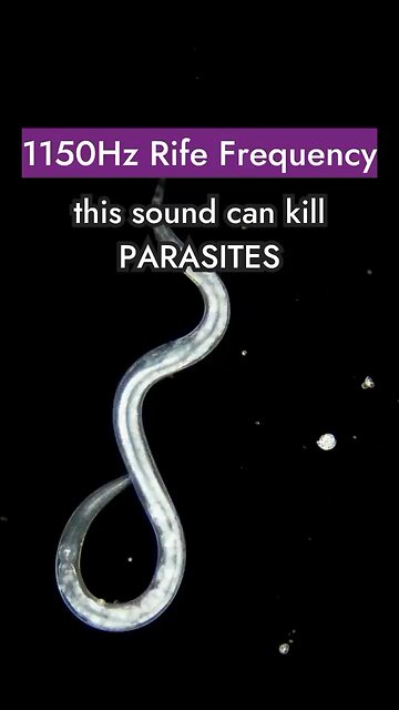 Can Frequency kills parasites ?