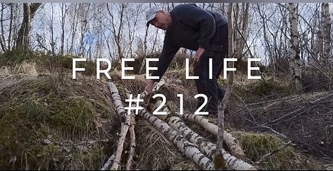 Free Life #212