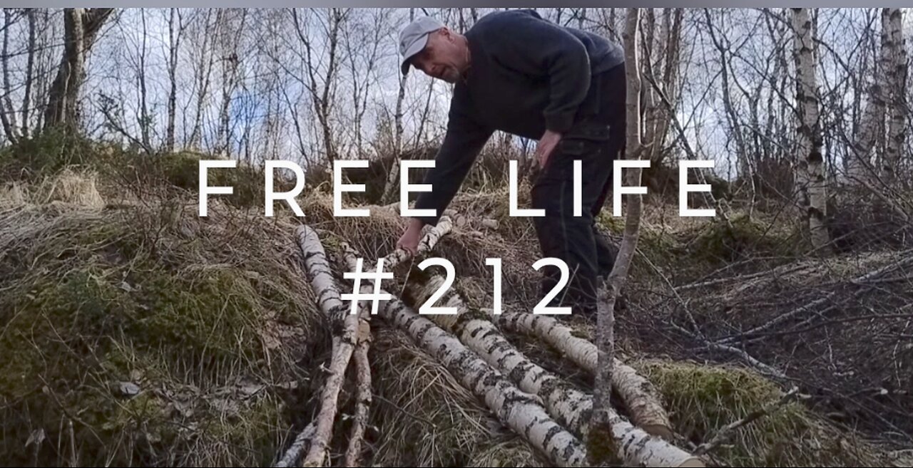 Free Life #212