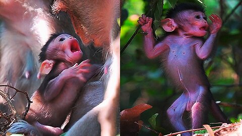 The Real Moment Of BABY AMELIA: Happy Hungry And...