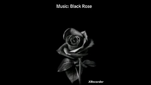 Music: Black Rose