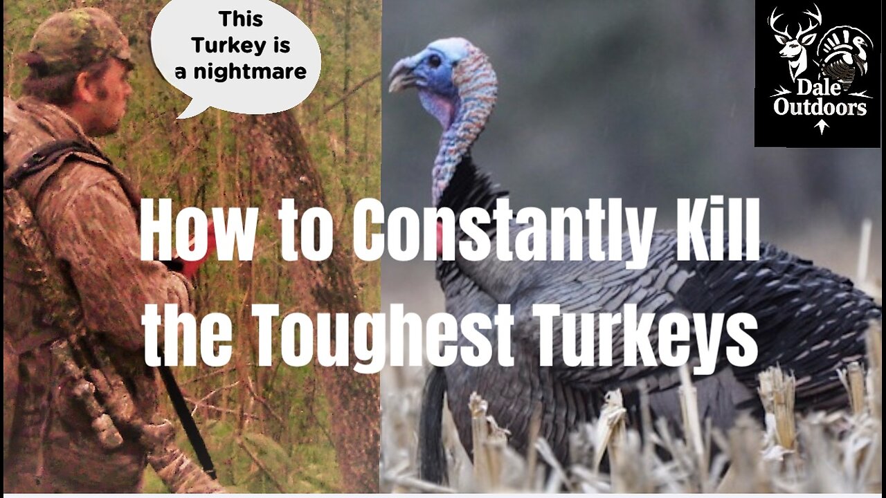 How to Constantly Kill the Toughest Gobblers