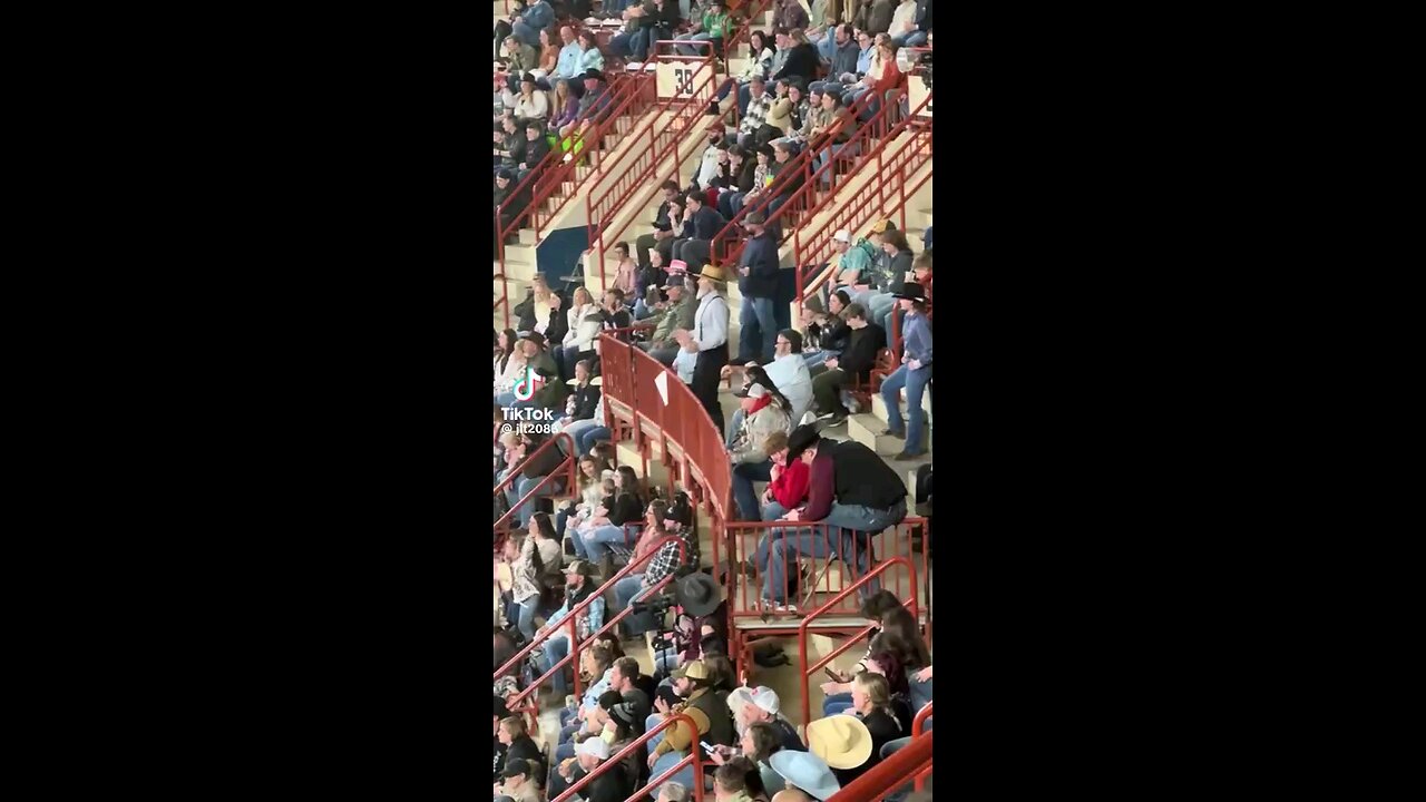 At the rodeo entertainment