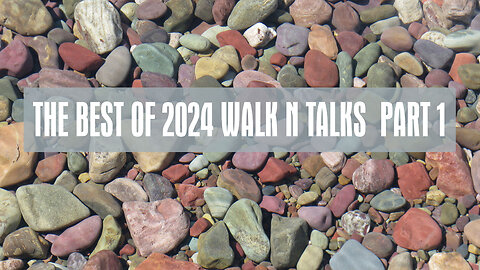 The Best of 2024 Steve Abramowicz Walk N Talk Part 1