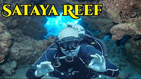 Sataya Reef | Egypt | Fury Shoals