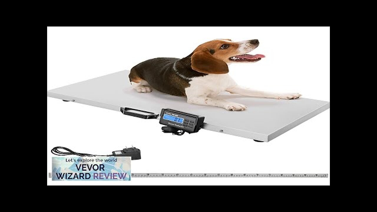 VEVOR 1100Lbs x 0.2Lbs Digital Livestock Scale Large Pet Vet Scale Stainless Review