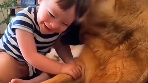 Cute moment about baby's and Dog