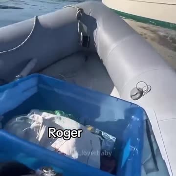 Funny animals videos part160