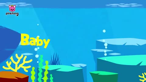 Baby-Hai -Baby Shark Dance Pinkfong