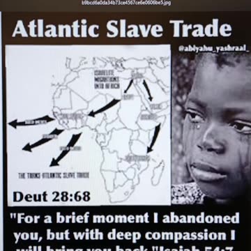 Trans-Atlantic Trade