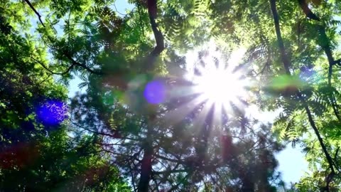 Solfeggio frequencies: healing tones for mind, body, and spirit