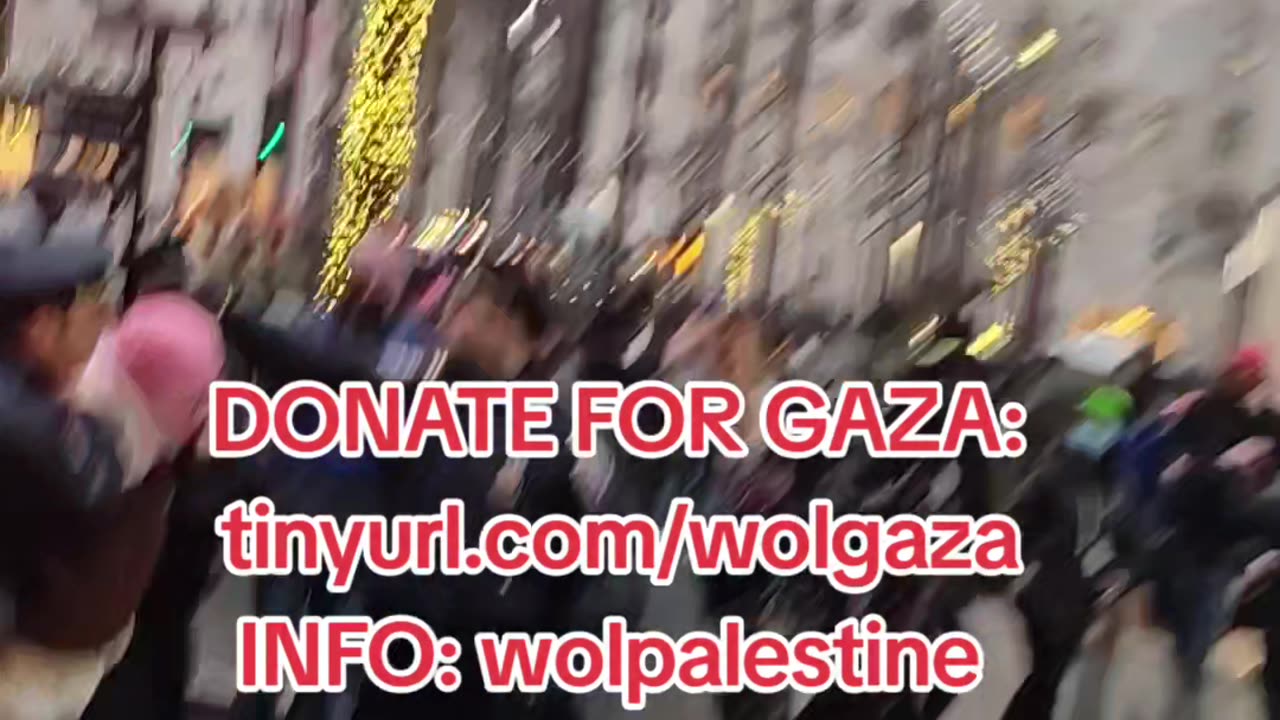 New York City NYPD officers arrest a PEACEFUL pro-Palestine protestor.