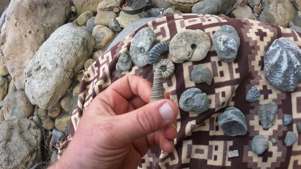 Fossil finds in a river (Bongara, Peru)