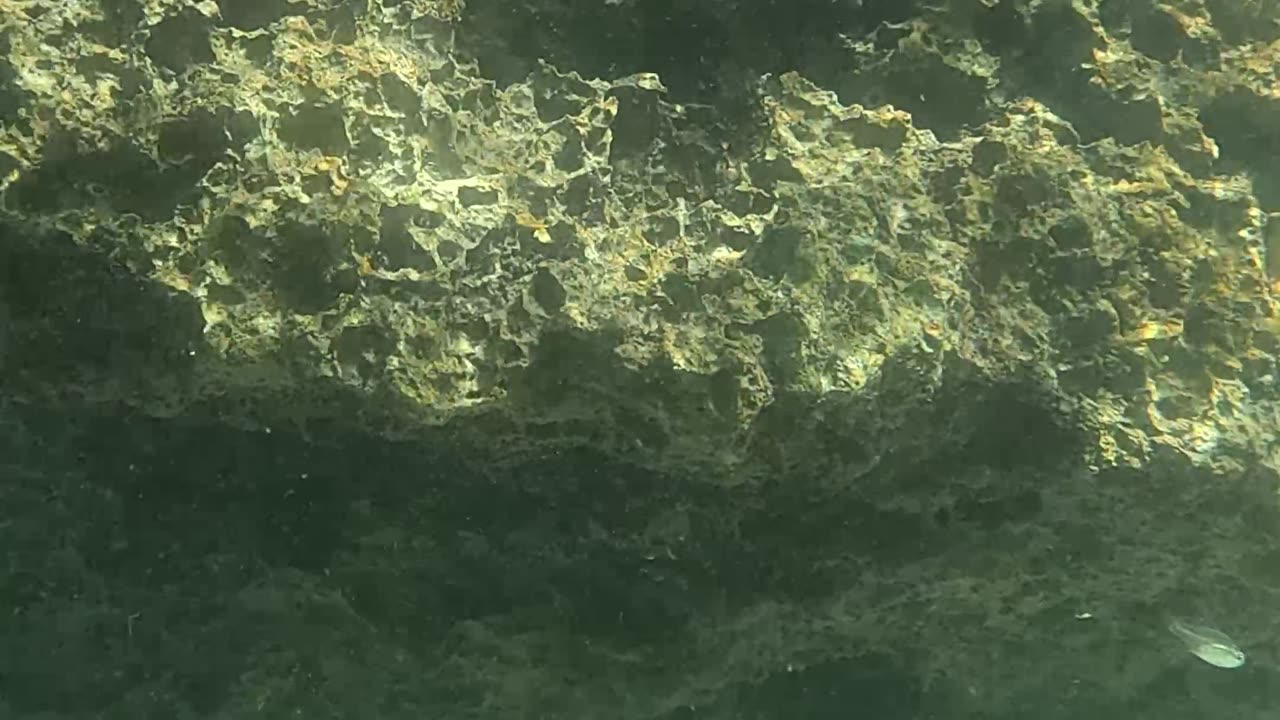 Snorkeling Through Serenity