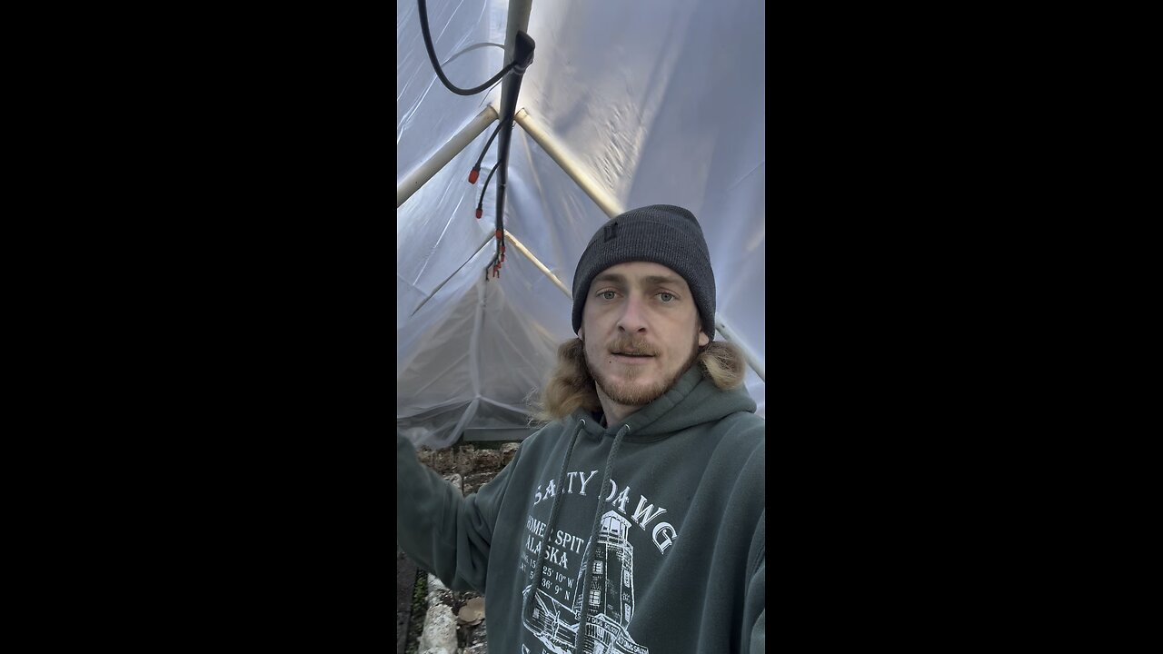 Homemade Greenhouse Update #1. Growing Mushrooms in a PVC Greenhouse #gourmet #mushrooms #winter