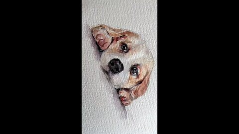 pet image with watercolour