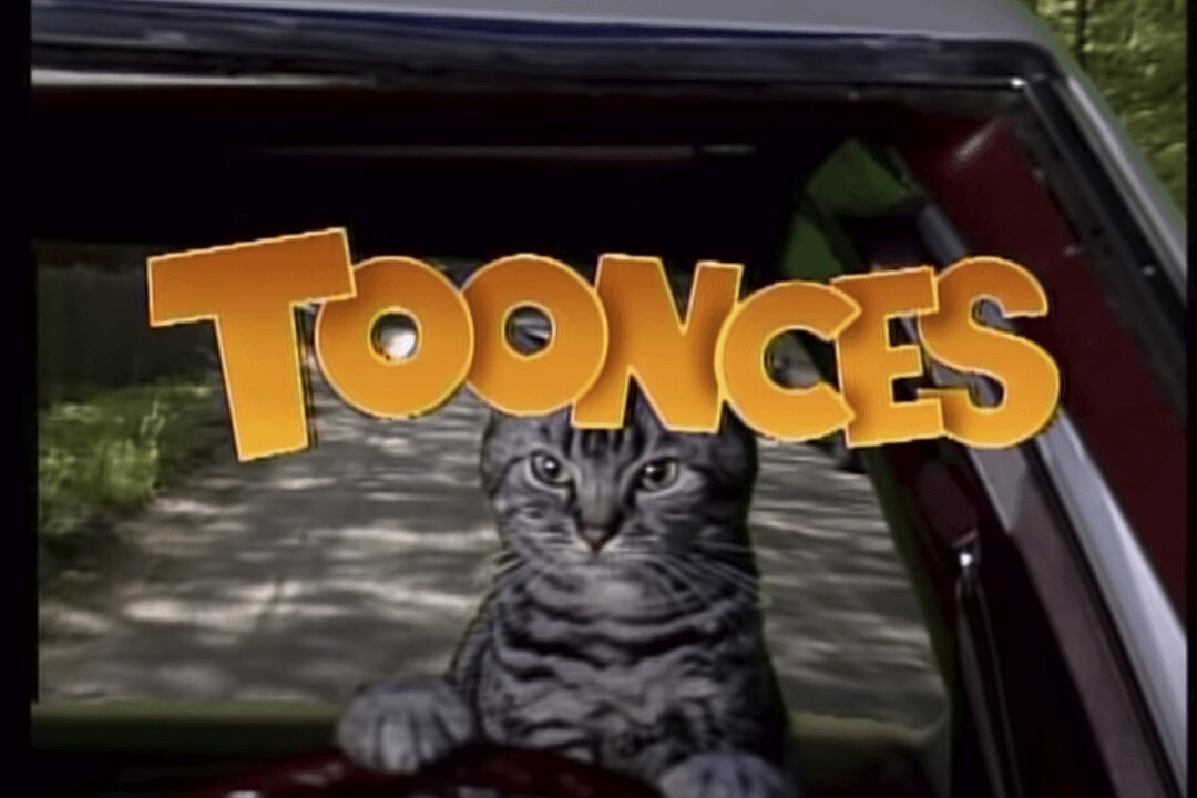 Toonces Town Tribulations