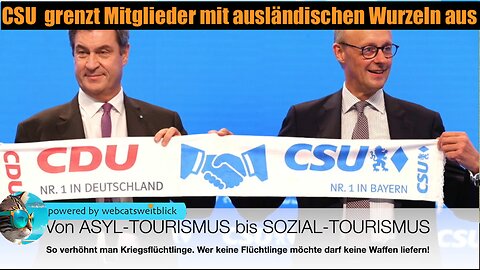 Von Brandmauern und Brandstiftern CDU CSU