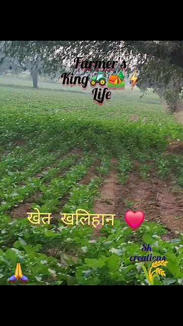 Farmer's life king status 2024 || sk creations || खेतीबाड़ी #kisankheti #farmer | 2024 ||