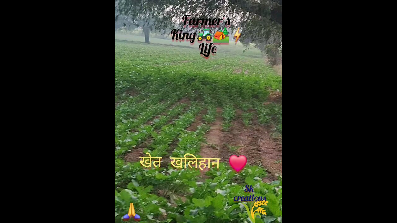 Farmer's life king status 2024 || sk creations || खेतीबाड़ी #kisankheti #farmer | 2024 ||