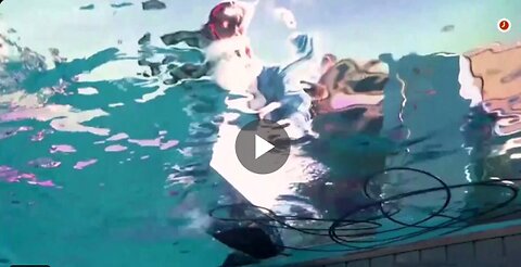 SANTA GOES SCUBA WITH PENGUINS! At Tokyo's Sunshine Aquarium, Santa ditched...