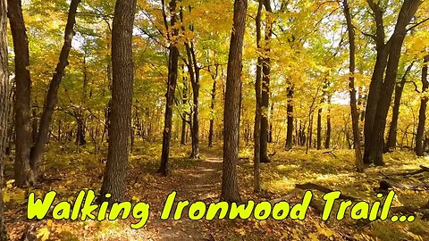 Walking on Ironwood Trail in Maplewood State Park in Minnesota