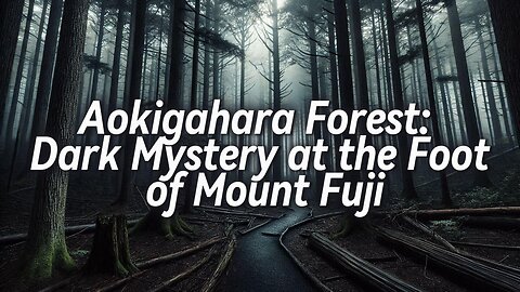 Aokigahara Forest: Dark Mystery at the Foot of Mount Fuji