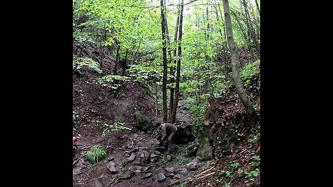 overnight and outdoor cooking in the forest, diy