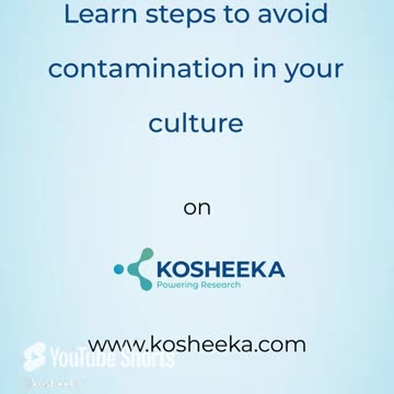 Protect your cell cultures from unwanted guests! #cellcultures #antibiotics #celllines