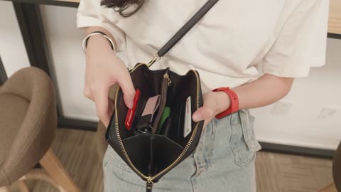 Carry Phone case / purse / Carry bag