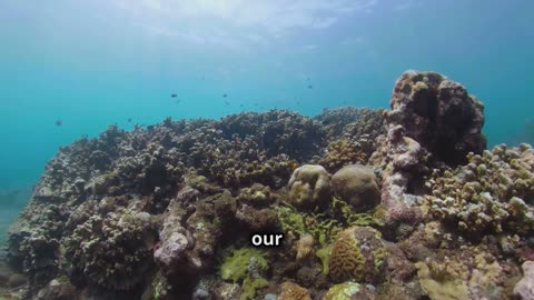 Jacques Cousteau_ The Ocean's Guardian